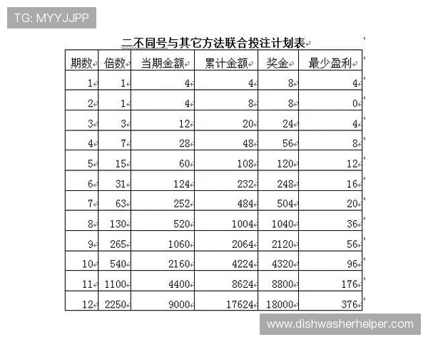 如何利用大发快三计划数据分析优化投注策略实现资金最大化的详细操作流程